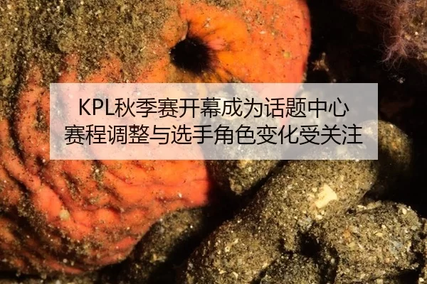KPL秋季赛开幕成为话题中心 赛程调整与选手角色变化受关注